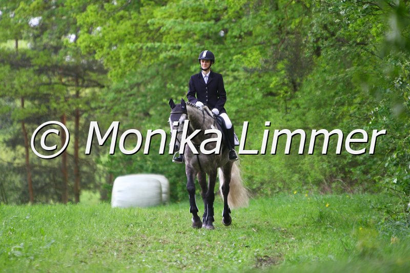 104M3697_Calimero_StispringWB E.JPG